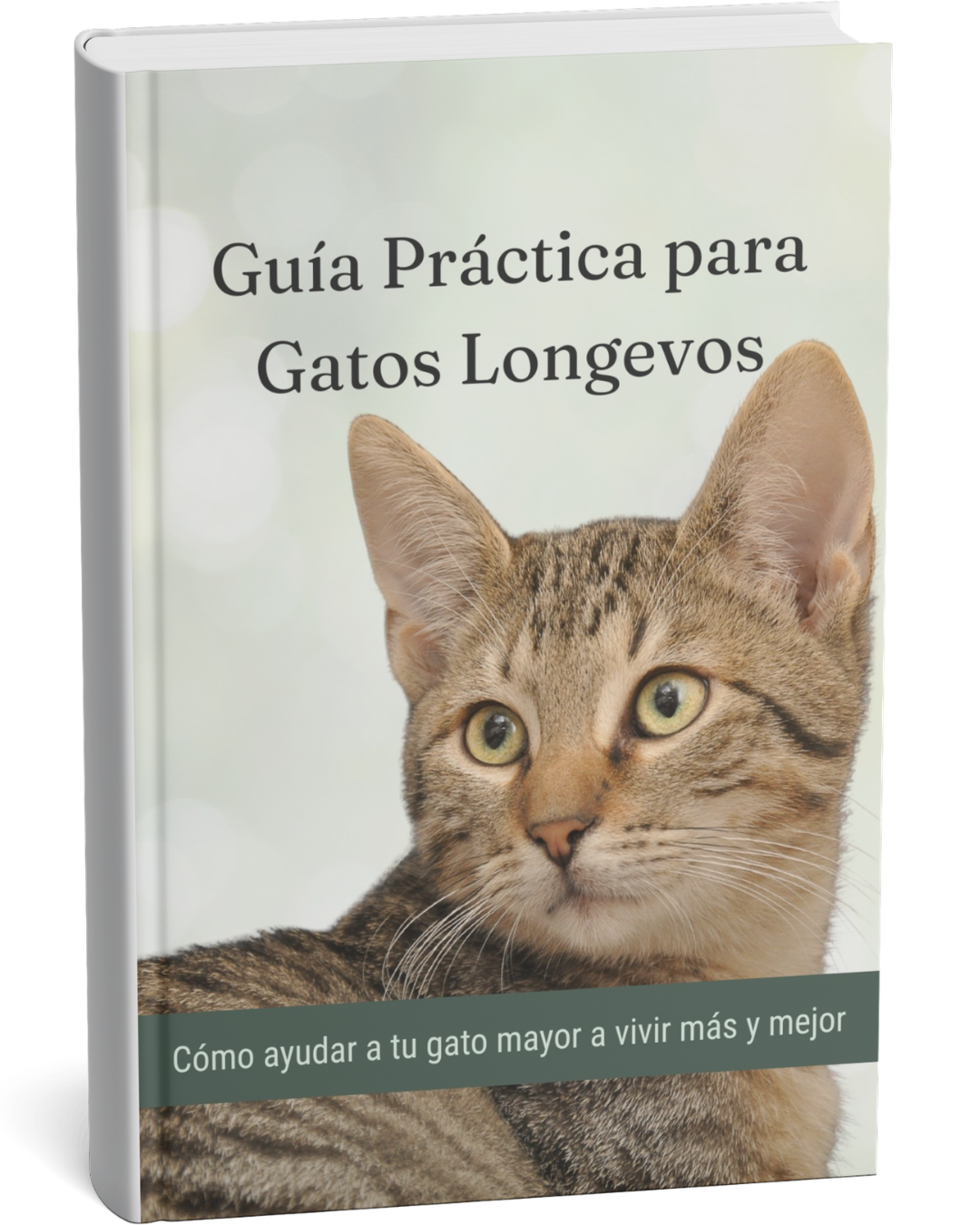 Mockup del ebook Guía Práctica para Gatos Longevos